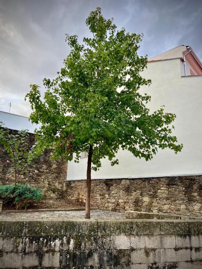 Cantinho Do Castelo Bragança Eksteriør billede